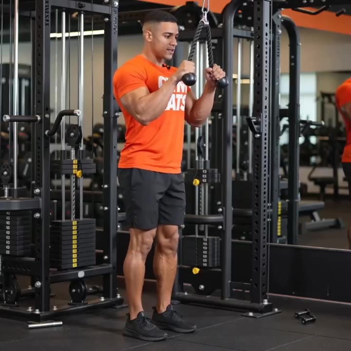 Tricep rope pushdown demo